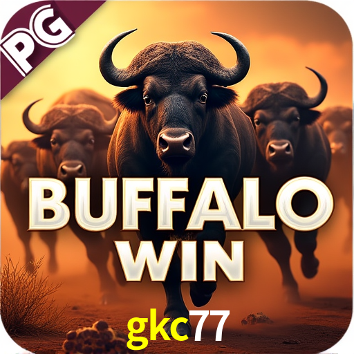 Flash Promotion gkc77