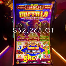 Sports Statistics gkc77